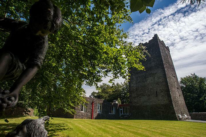 Ross Castle B&B Oldcastle Exterior foto